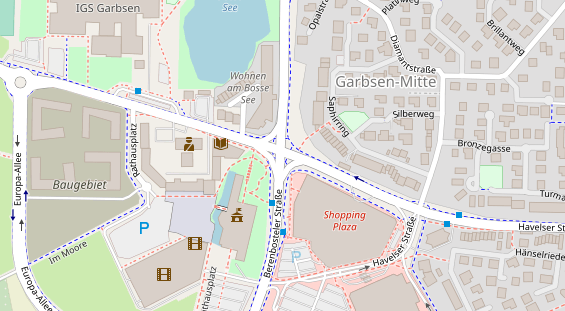 Lauf auf Satellitenbild