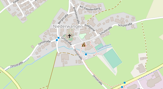 Lauf auf Satellitenbild