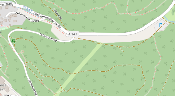 Lauf auf Satellitenbild