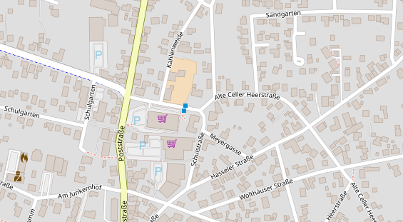 Lauf auf Satellitenbild