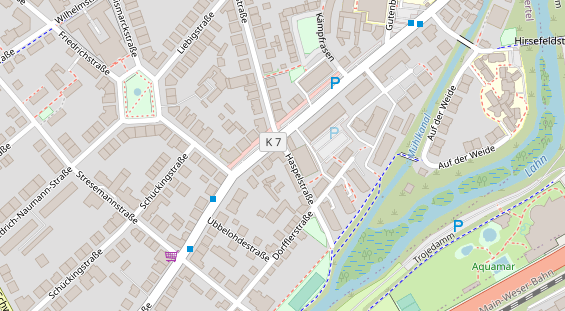 Lauf auf Satellitenbild