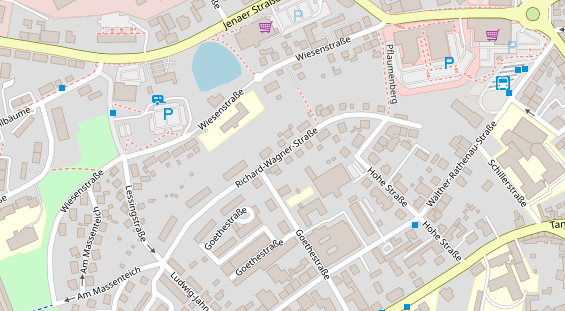 Lauf auf Satellitenbild