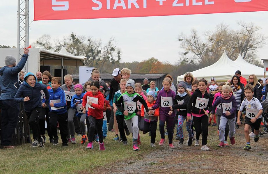 Lauf - Start beim Schülerlauf - 6. Ottmar-Schneider-Benefizlauf 