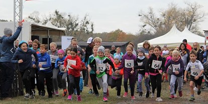 Lauf suchen - Monat: November - Franken - Start beim Schülerlauf - 6. Ottmar-Schneider-Benefizlauf 