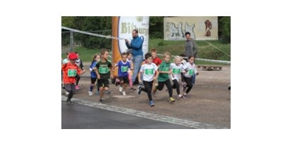 Lauf suchen - Strecken: Halbmarathon - Bambini-Lauf - 17. Nibelungenlauf Worms