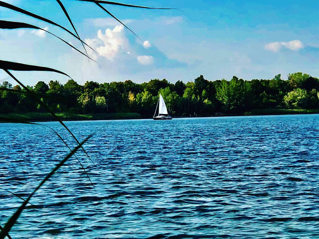 Lauf - laufen2go . Kulkwitzer-Benefiz-Seelauf LEIPZIG - laufen2go: Benefiz-Kulkwitzer-Seelauf LEIPZIG