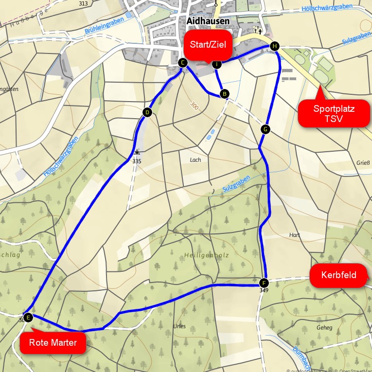 Lauf - 8. Benefizlauf zu Gunsten der Stiftung KinderHerz