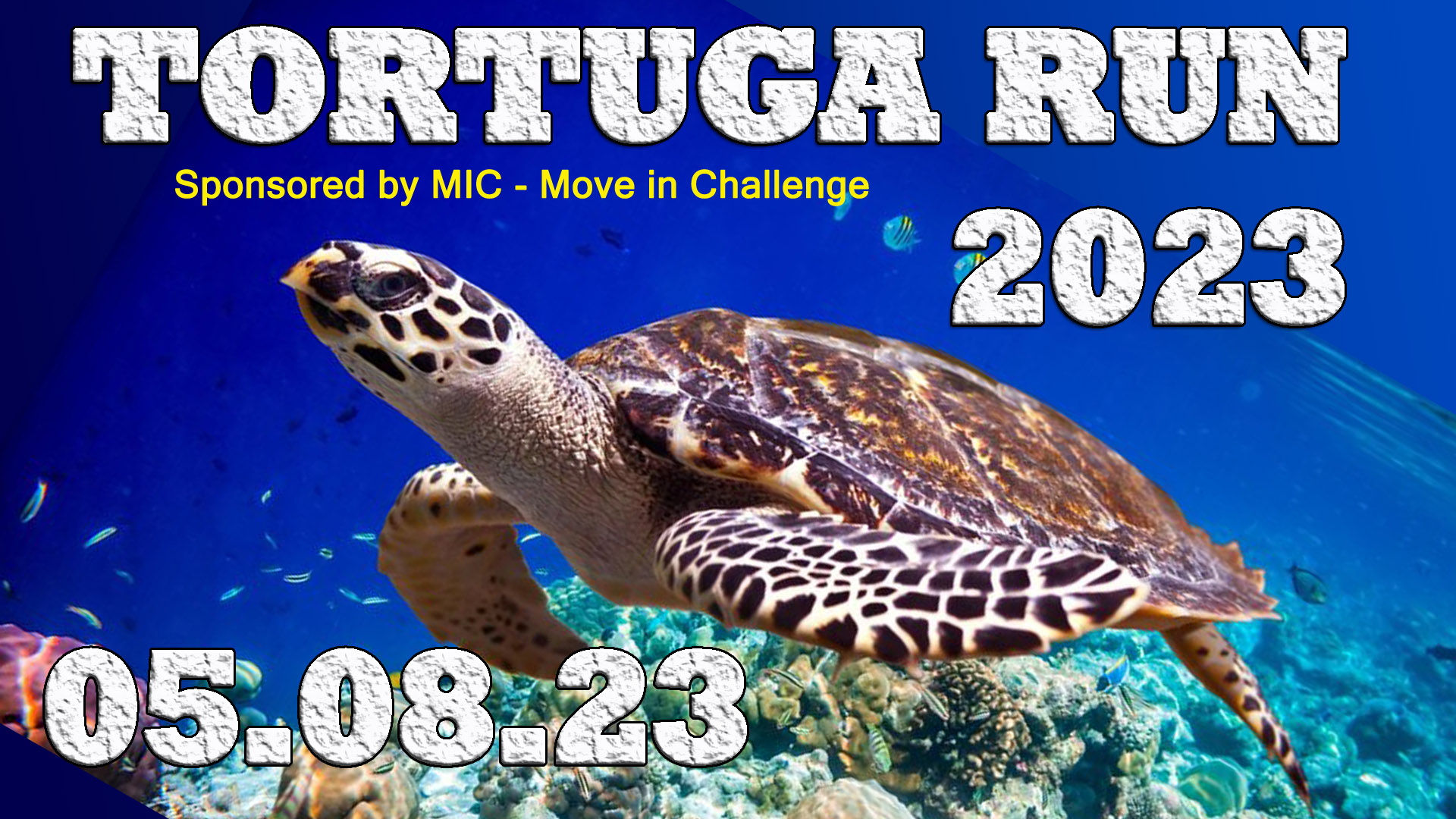 Lauf - TORTUGA RUN 2023