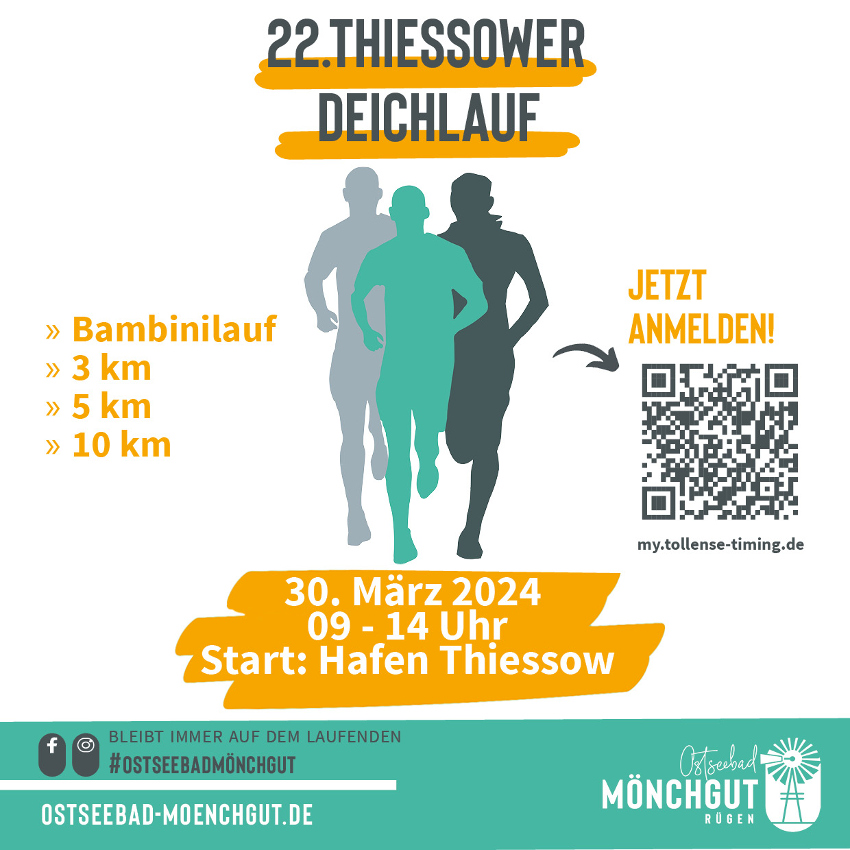 Lauf - 22. Thiessower Deichlauf
