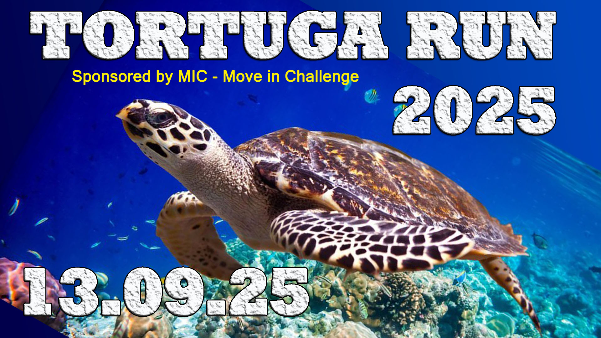 Lauf - Tortuga Run 2025 - TORTUGA RUN 2025