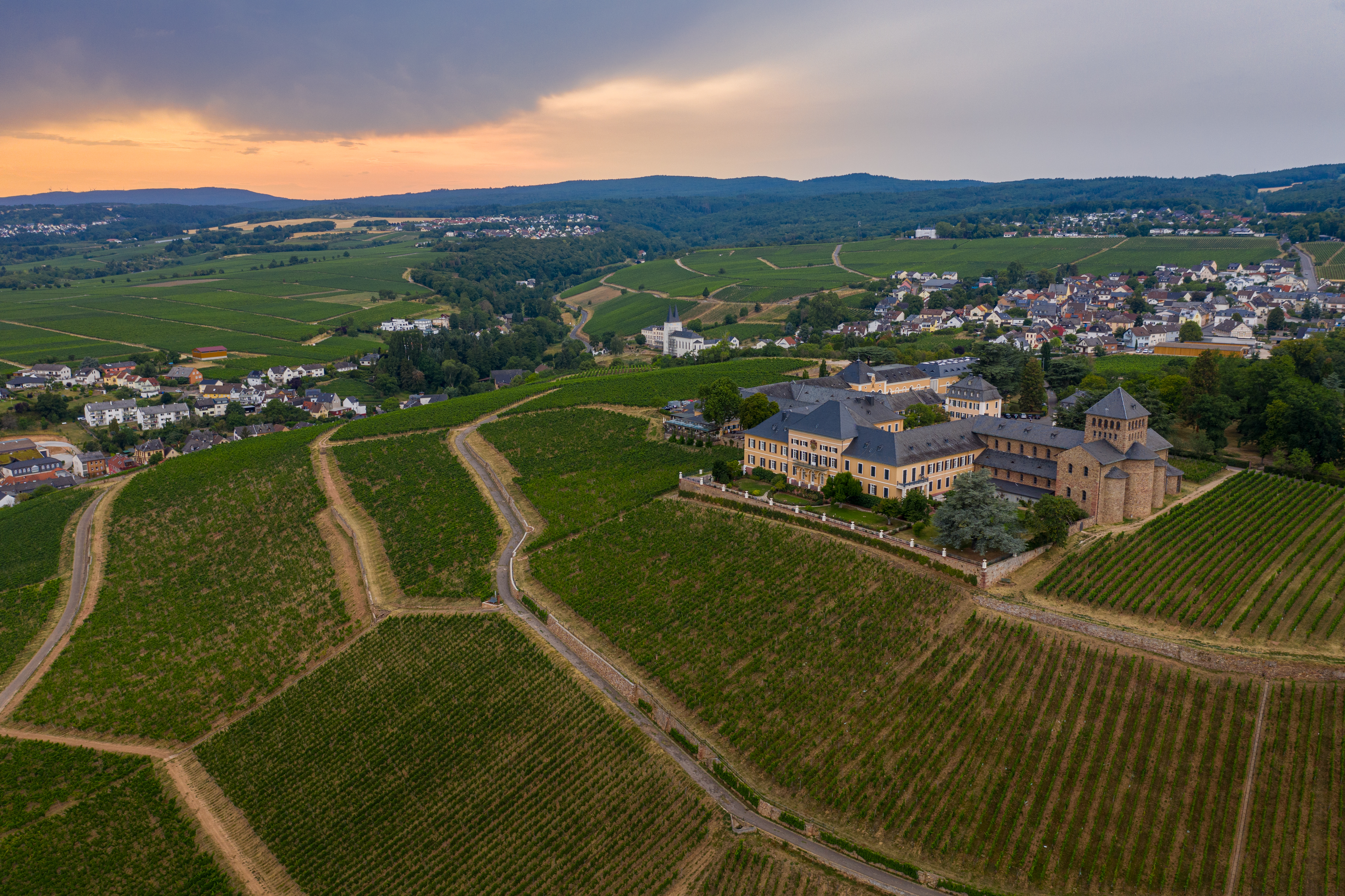 Lauf - Henkell 0.0% Vinothon - Wiesbaden·Rheingau GenussMarathon