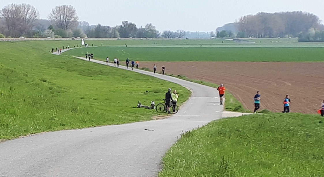 Lauf: Bei km 8 (10km) oder 11 (15km) - 12. Polderlauf Mainz
