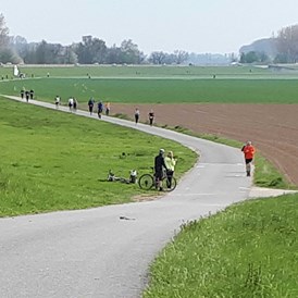 Lauf: Bei km 8 (10km) oder 11 (15km) - 12. Polderlauf Mainz