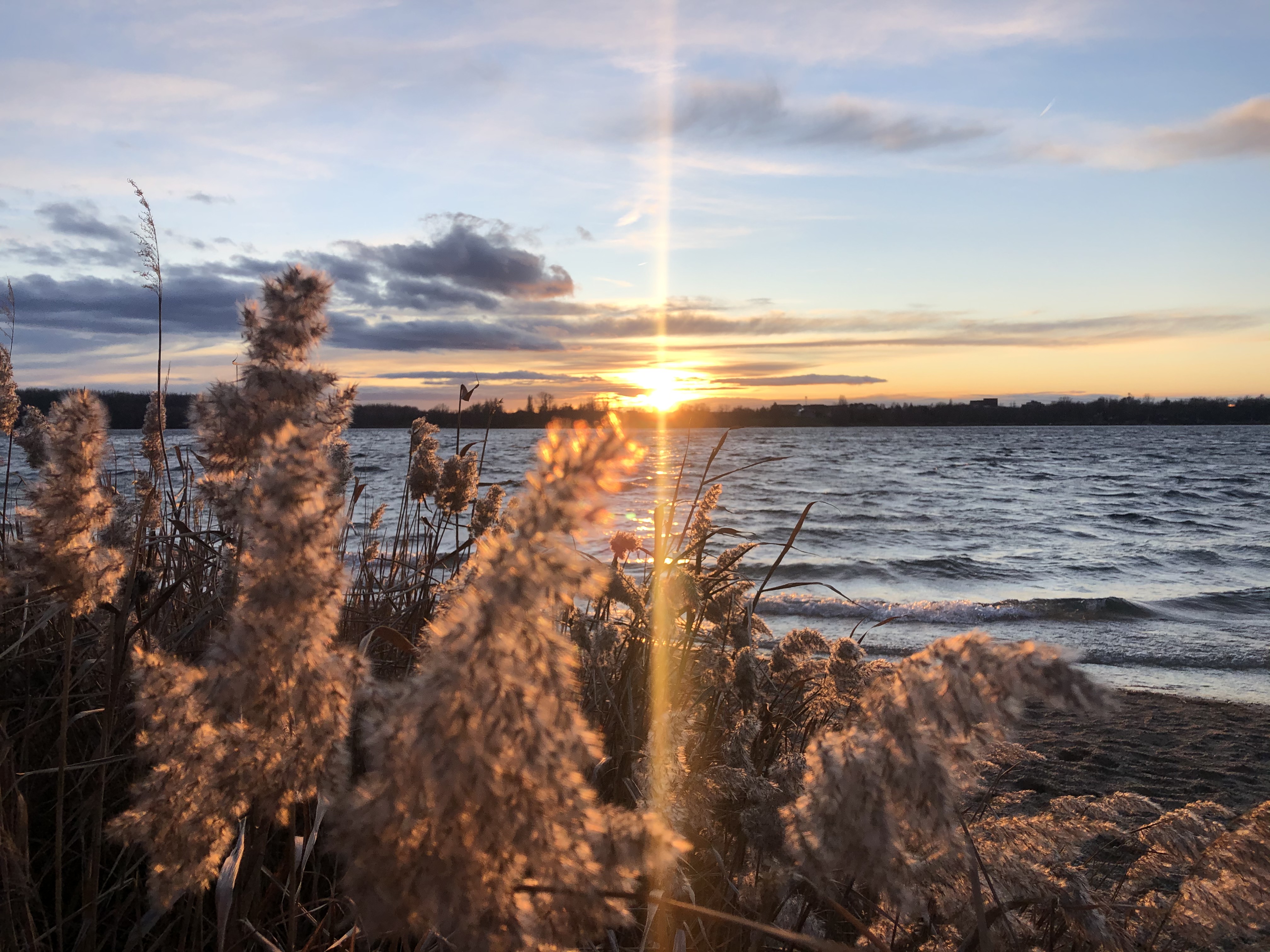 Lauf suchen - Art des Laufs: Volkslauf - Sachsen-Anhalt - laufen2go . Kulkwitzer-Benefiz-Seelauf LEIPZIG - laufen2go: Benefiz-Kulkwitzer-Seelauf LEIPZIG