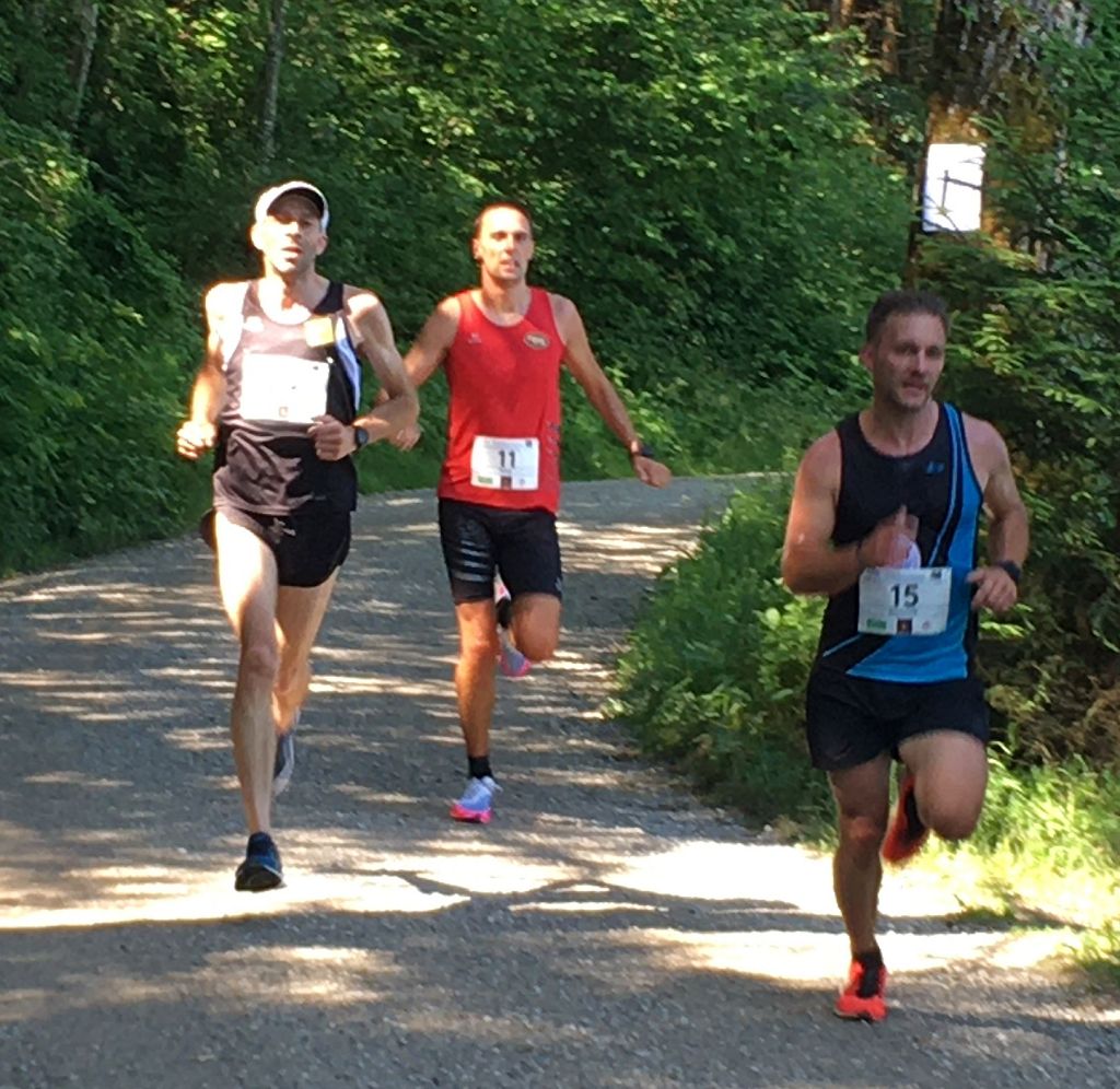 Lauf suchen - STAFFELSEE-Panoramalauf in Murnau