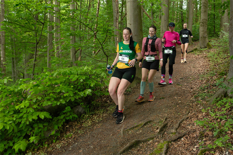 Lauf suchen - Nordrhein-Westfalen - Trailstrecke vom FREETRAIL - FREETRAIL - der Waldlauf