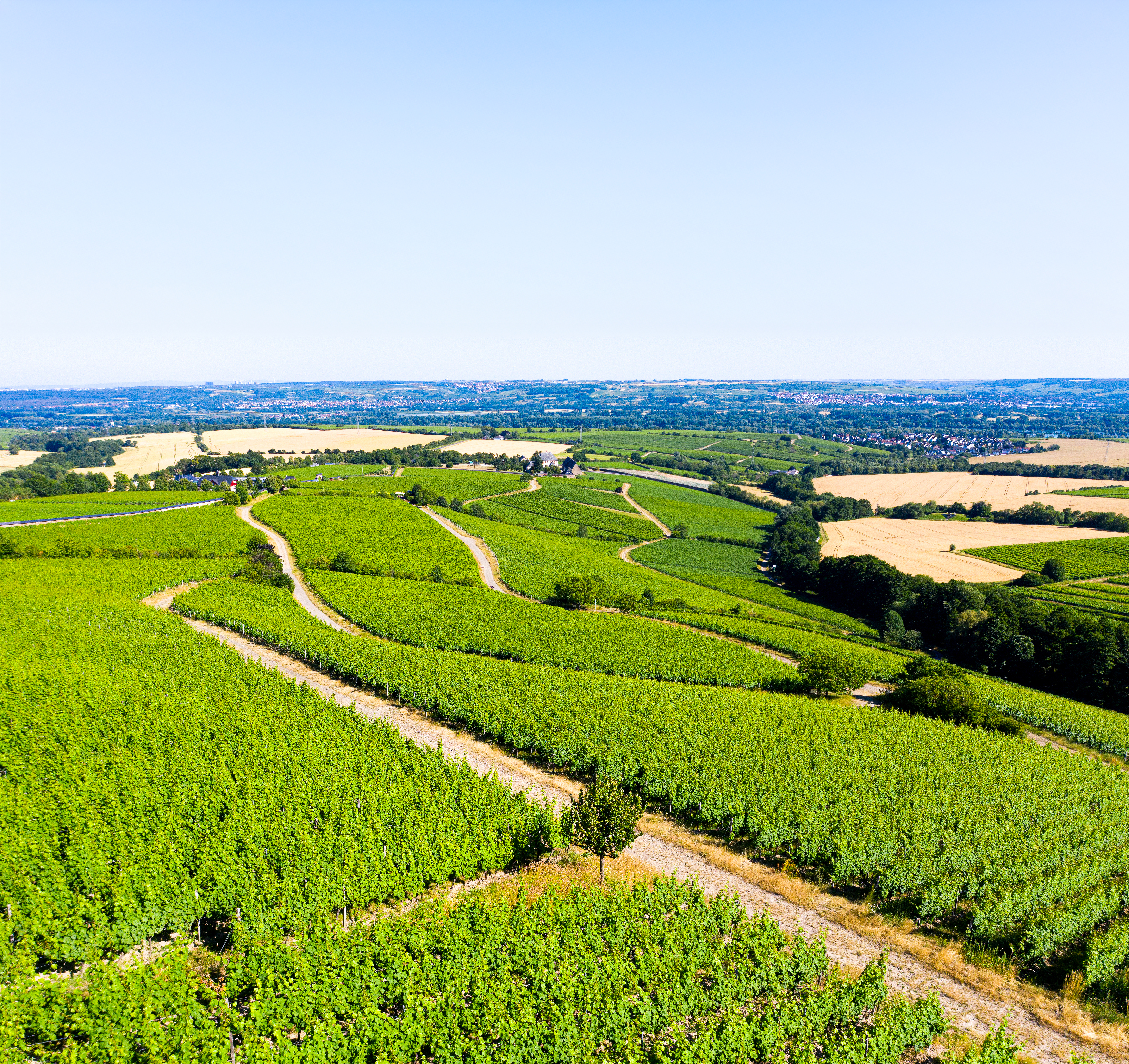 Lauf: Henkell 0.0% Vinothon - Wiesbaden·Rheingau GenussMarathon