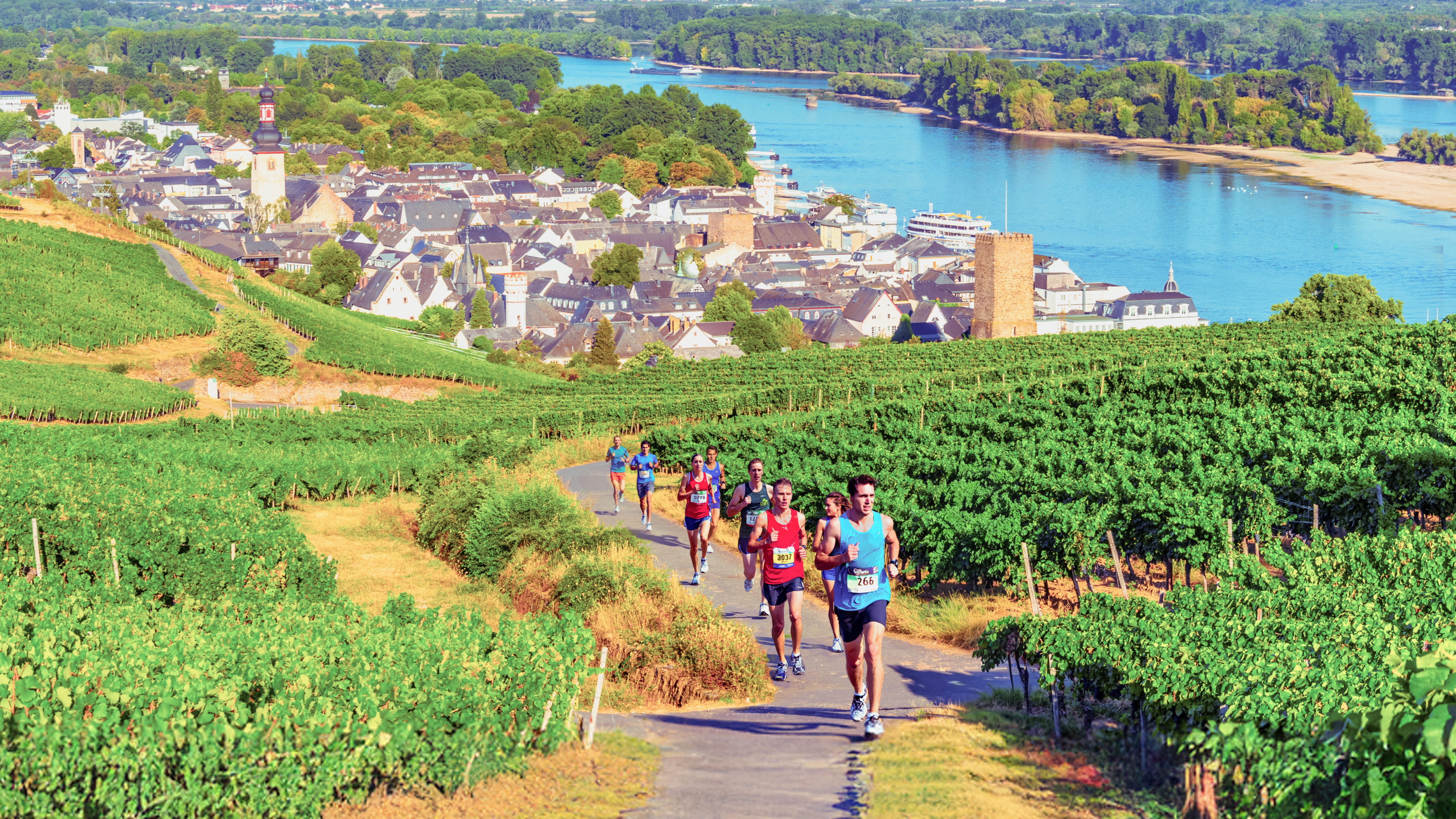 Lauf: Henkell 0.0% Vinothon - Wiesbaden·Rheingau GenussMarathon