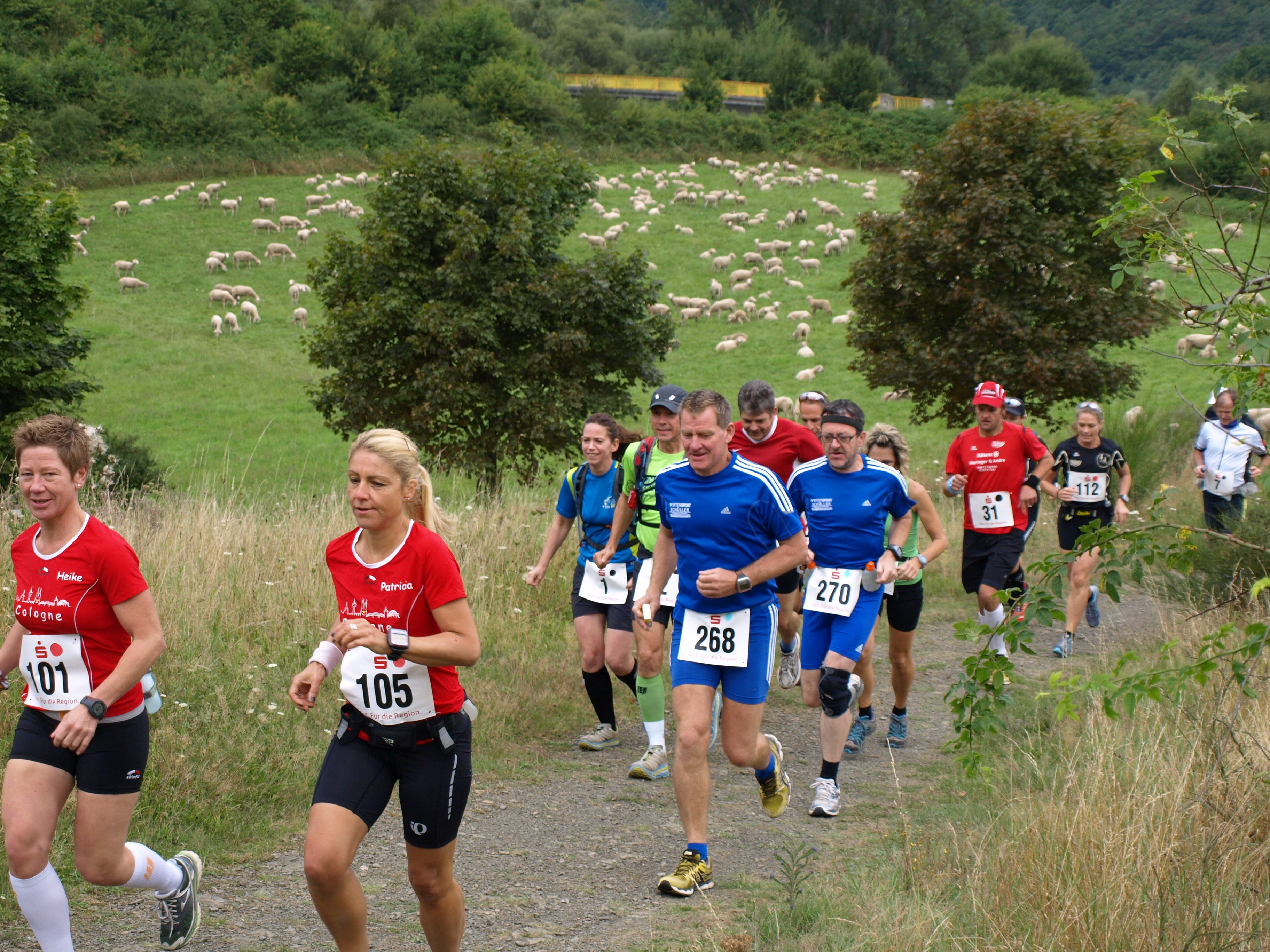 Lauf suchen - Das Läuferfeld auf der Einführungsrunde - 10.Panoramalauf rund um die Burg Are