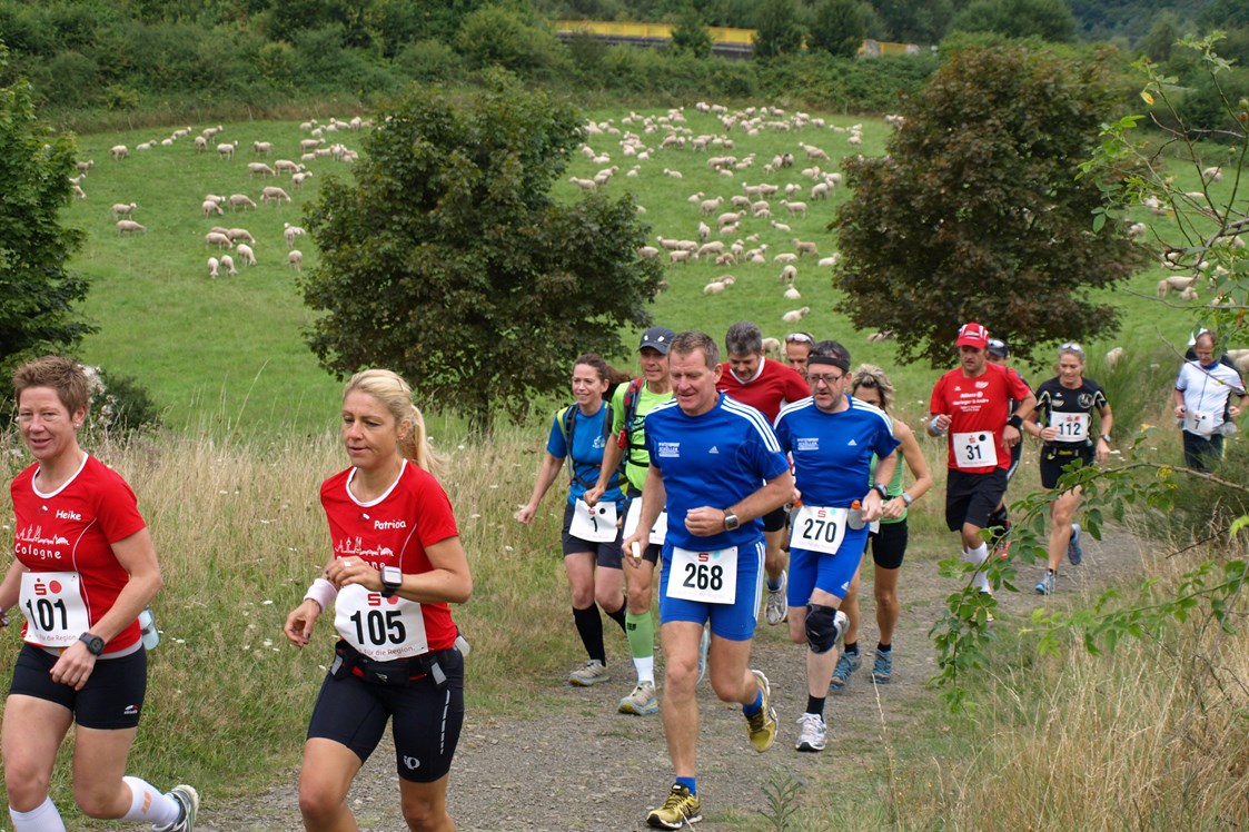 Lauf: Das Läuferfeld auf der Einführungsrunde - 10.Panoramalauf rund um die Burg Are