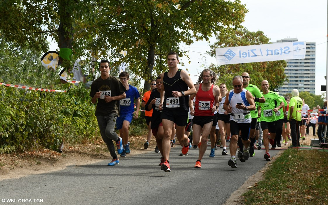 Lauf: Start Hauptlauf 6,2 km und 12,4 km  - Weinbergslauf-Hochheim