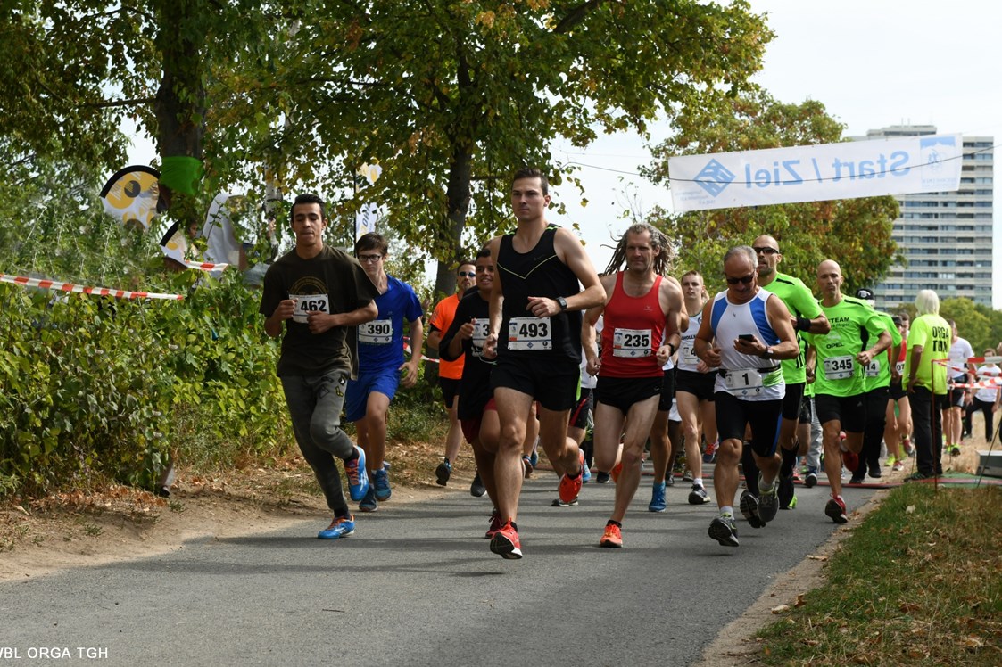 Lauf: Start Hauptlauf 6,2 km und 12,4 km  - Weinbergslauf-Hochheim