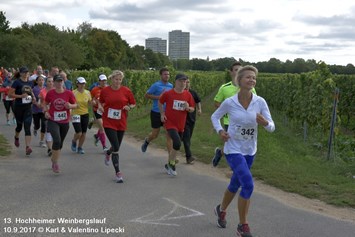 Lauf: auf der Laufstrecke kurz nach den Start  - Weinbergslauf-Hochheim