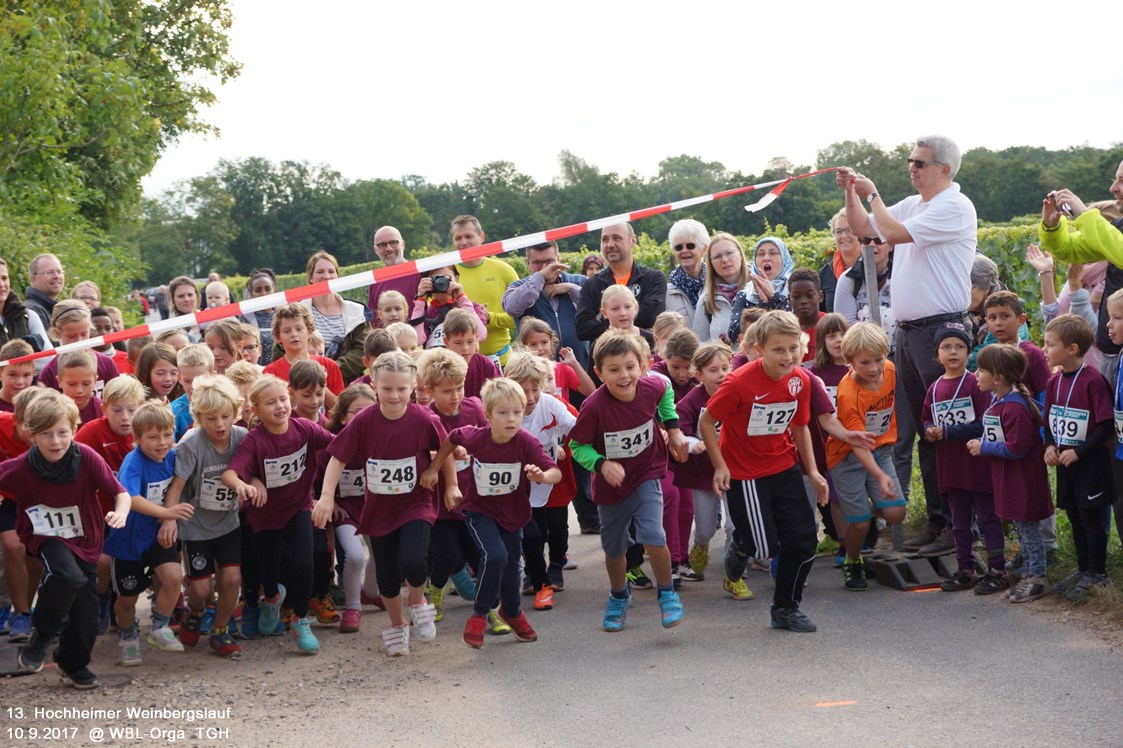 Lauf: Start vom Schülerlauf 1,5 km  - Weinbergslauf-Hochheim