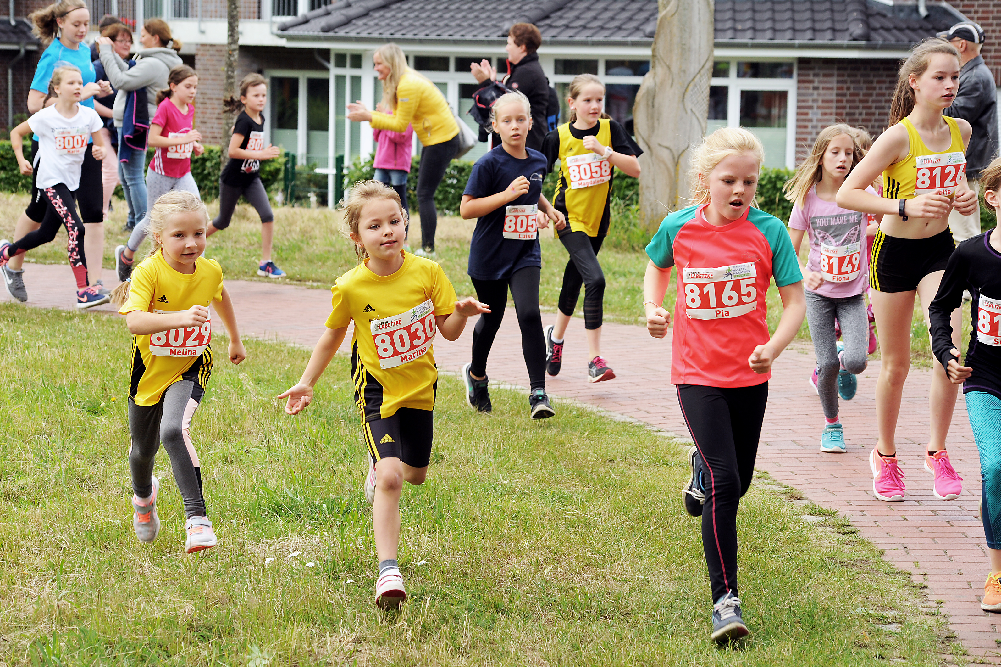 Lauf suchen - Foto: Heinz Benken. - Remmers-Hasetal-Marathon des VfL Löningen